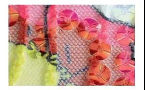 Tulle embroidery